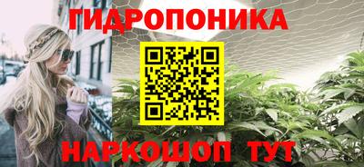 амф Камышлов