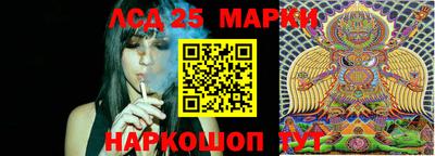 стафф Кандалакша