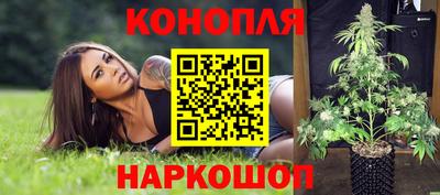 стафф Кандалакша