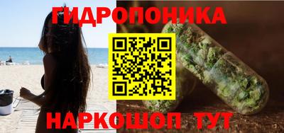 стафф Кандалакша