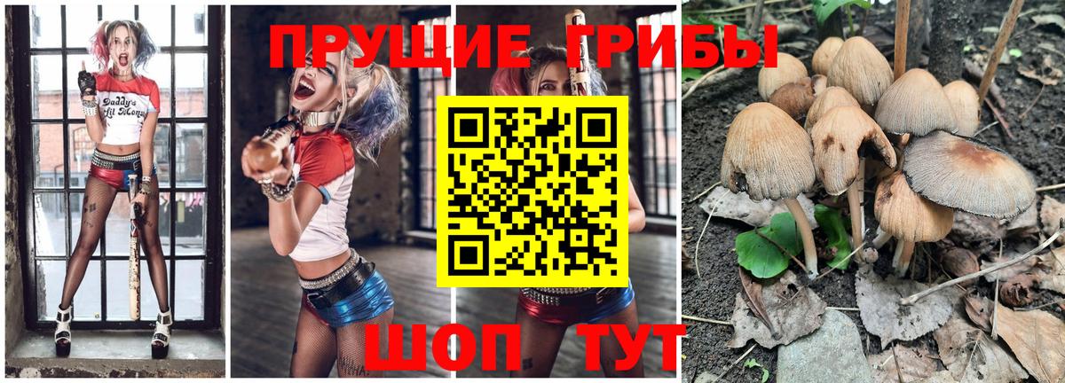 Галлюциногенные грибы ЛСД  Вход с VPN  Железноводск 